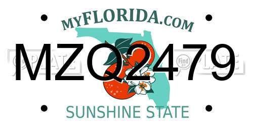 MZQ2479 Florida License Plate