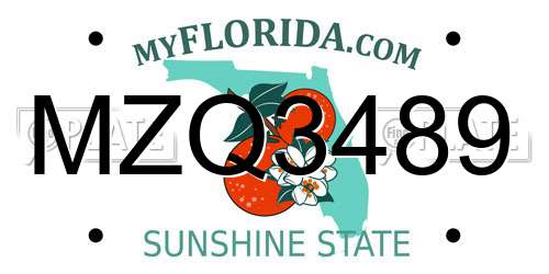 MZQ3489 Florida License Plate