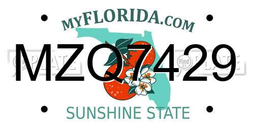 MZQ7429 Florida License Plate