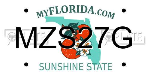 MZS27G Florida License Plate