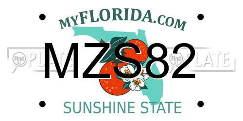 MZS82 Florida License Plate