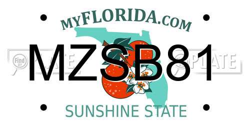 MZSB81 Florida License Plate