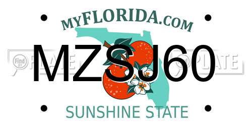 MZSJ60 Florida License Plate