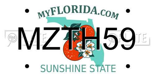 MZTH59 Florida License Plate