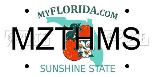 MZTHMS Florida License Plate