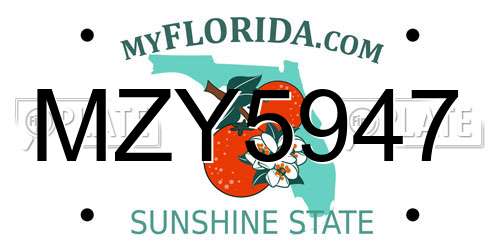 MZY5947 Florida License Plate
