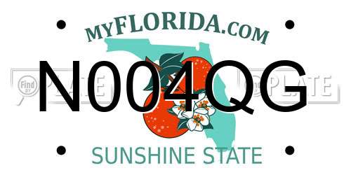 N004QG Florida License Plate