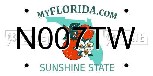 N007TW Florida License Plate