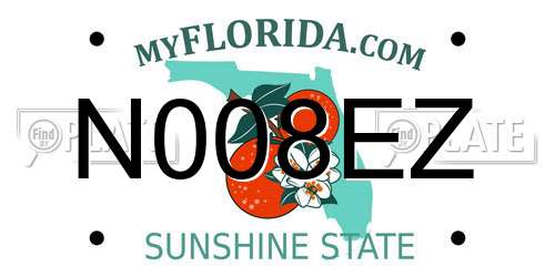 N008EZ Florida License Plate