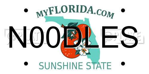 N00DLES Florida License Plate