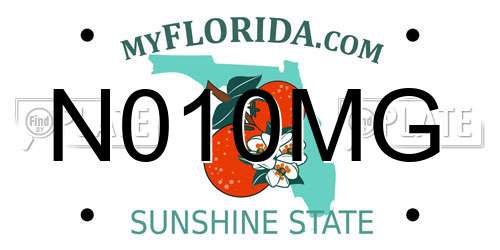 N010MG Florida License Plate