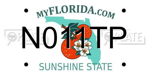N011TP Florida License Plate