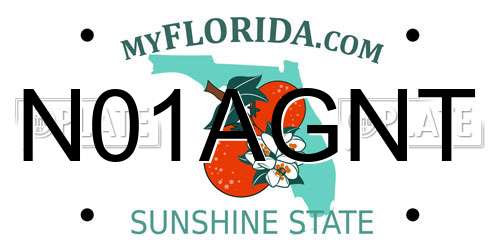 N01AGNT Florida License Plate