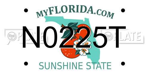 N0225T Florida License Plate
