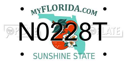 N0228T Florida License Plate