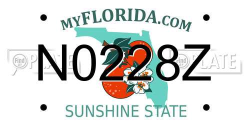 N0228Z Florida License Plate
