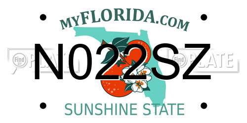 N022SZ Florida License Plate