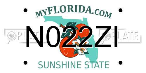 N022ZI Florida License Plate