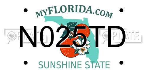 N025TD Florida License Plate