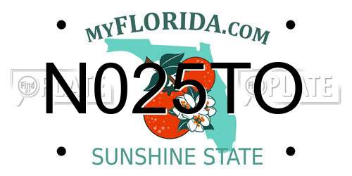N025TO Florida License Plate