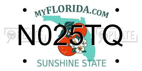 N025TQ Florida License Plate