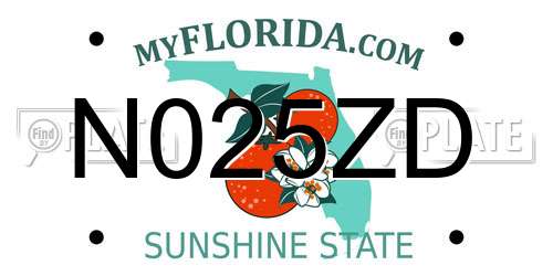 N025ZD Florida License Plate