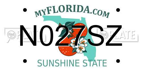N027SZ Florida License Plate
