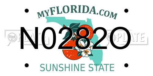 N0282O Florida License Plate