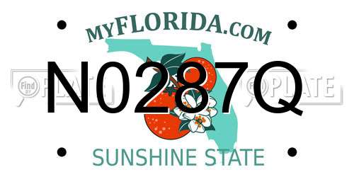 N0287Q Florida License Plate