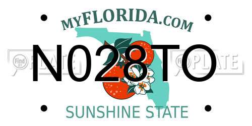 N028TO Florida License Plate