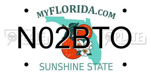 N02BTO Florida License Plate