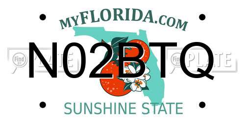 N02BTQ Florida License Plate