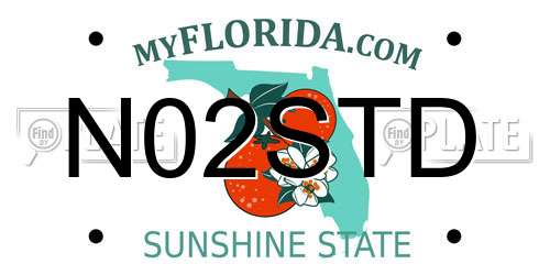 N02STD Florida License Plate