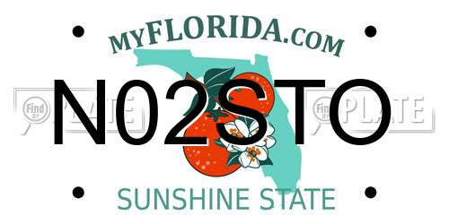 N02STO Florida License Plate