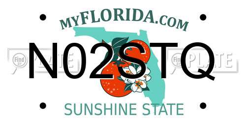N02STQ Florida License Plate