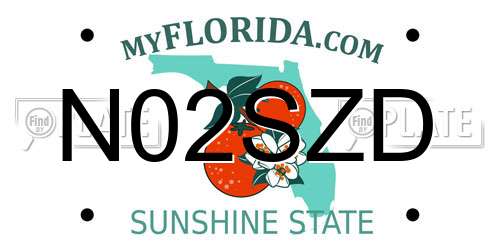 N02SZD Florida License Plate