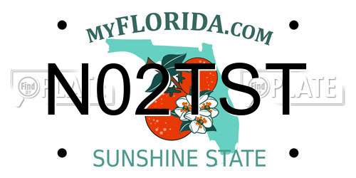 N02TST Florida License Plate