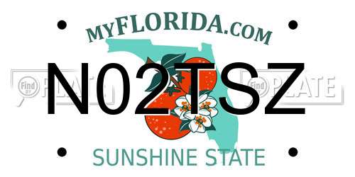N02TSZ Florida License Plate