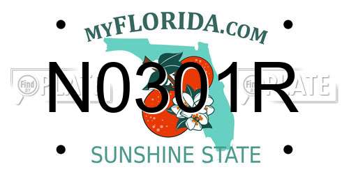 N0301R Florida License Plate