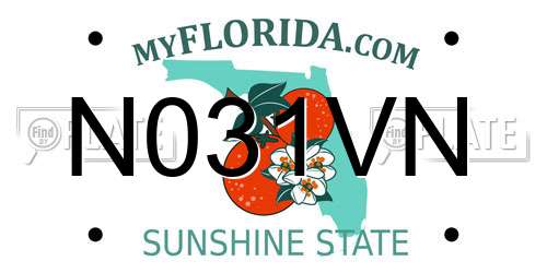 N031VN Florida License Plate