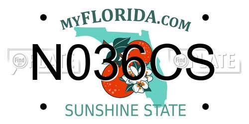 N036CS Florida License Plate