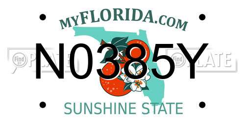 N0385Y Florida License Plate