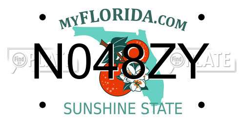 N048ZY Florida License Plate