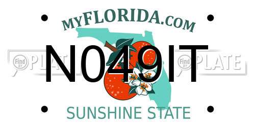 N049IT Florida License Plate