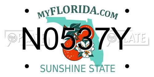 N0537Y Florida License Plate
