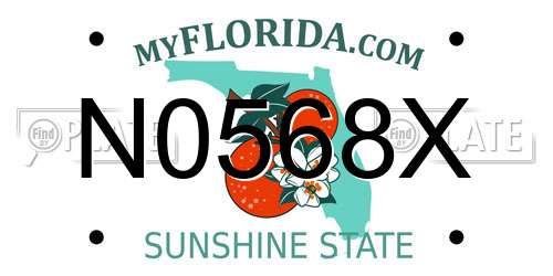 N0568X Florida License Plate