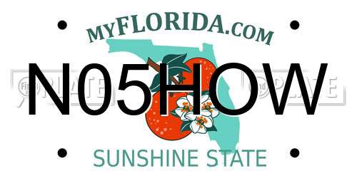 N05HOW Florida License Plate