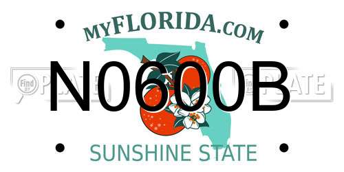 N0600B Florida License Plate