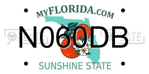 N060DB Florida License Plate