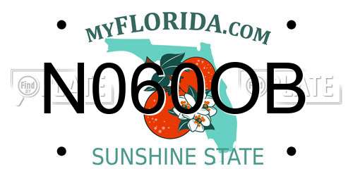 N060OB Florida License Plate